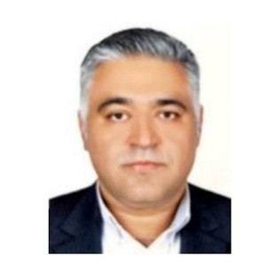 محسن انوشه پور
