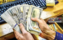همتی: ظرف دو هفته قیمت ارز دو هزار تومان کاهش یافت