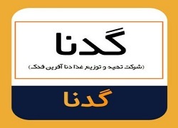 ورود پول حقیقی میلیاردی به گدنا، صعود آغاز خواهد شد؟