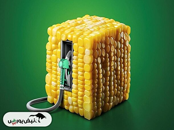 چرا شگستر پذیره نویسی شد؟