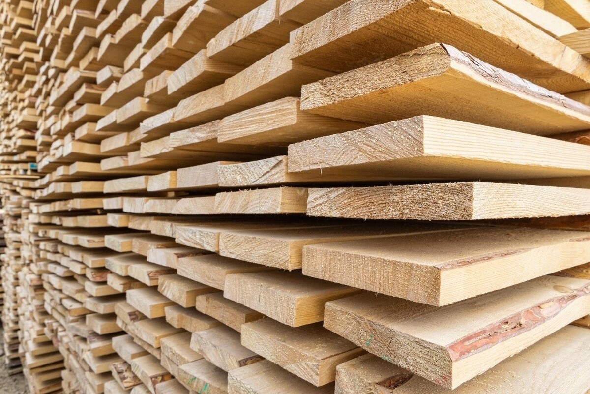مهمترین کاربردهای چوب نراد خیس و چوب نراد خشک در صنایع مختلف را بشناسید!