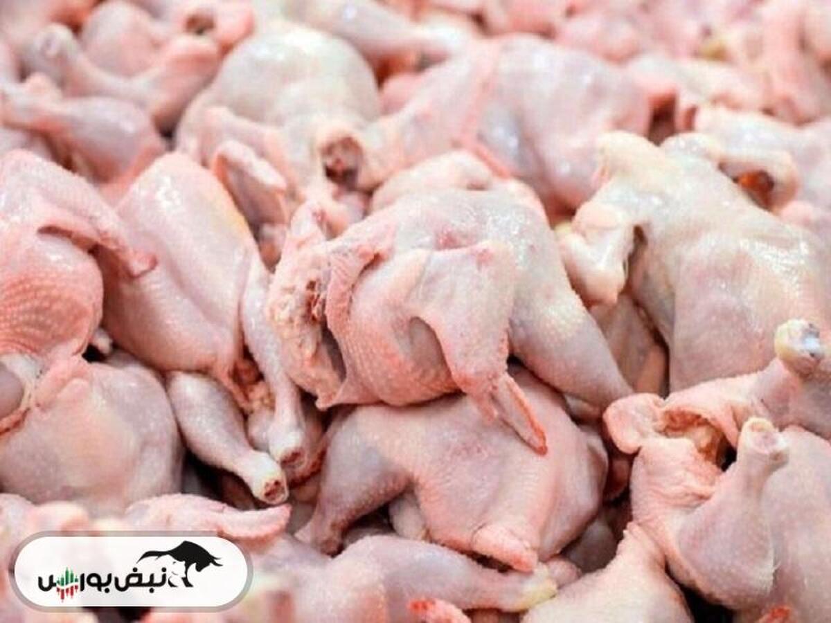 تولید ۱۰۵ هزار تن گوشت مرغ در خوزستان در ۱۱ ماهه امسال