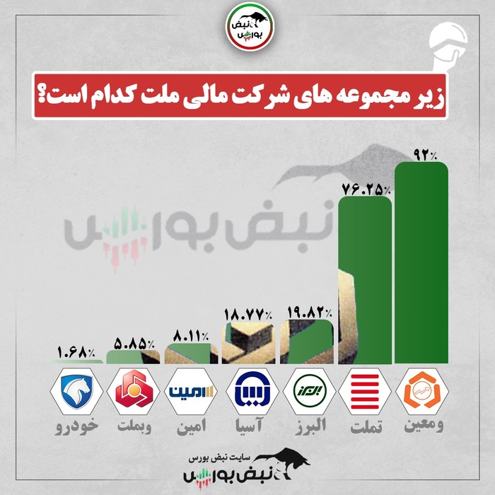 شرکت مالی ملت در کدام نمادها سهامدار است؟ + اینفوگرافی