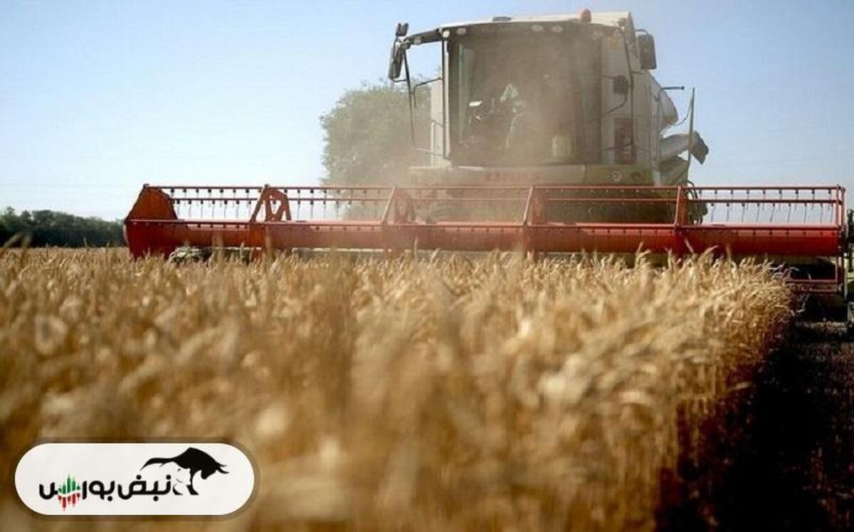 برداشت محصول گندم ‌در خوزستان از فردا آغاز می‌شود