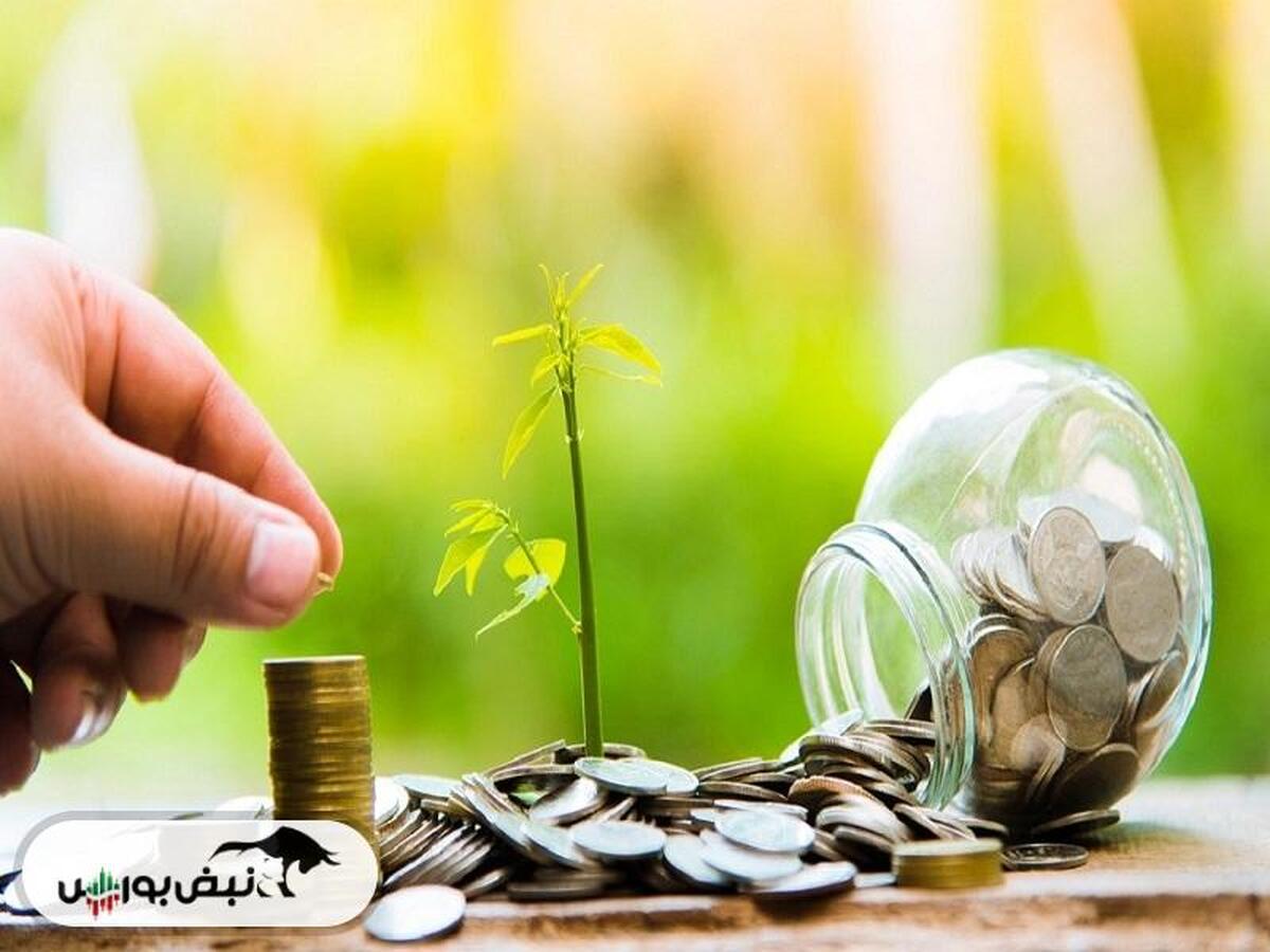 افزایش سرمایه‌های منتشر شده در کدال: بررسی افزایش سرمایه سنگین نمادهای بانکی