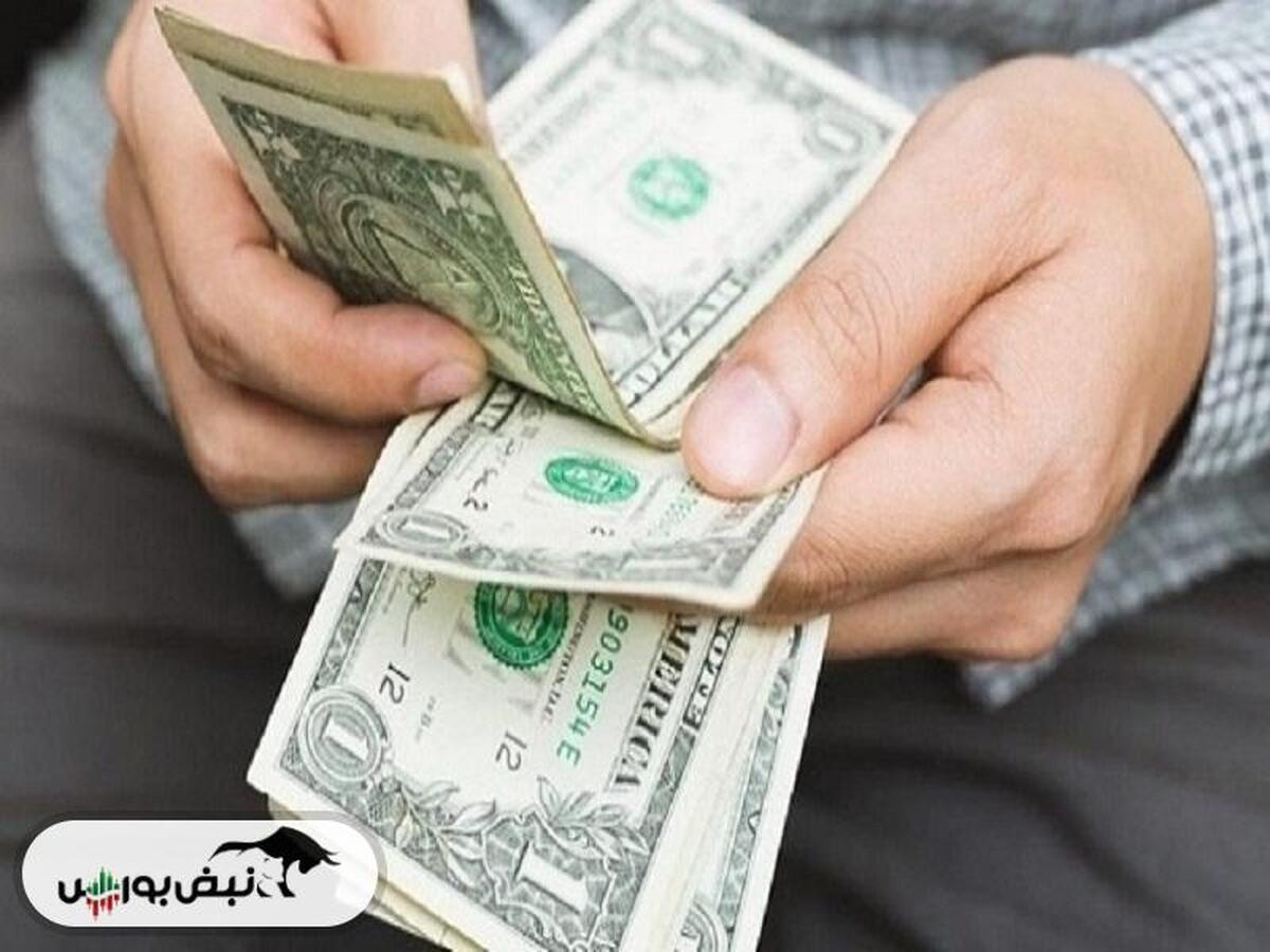 ورود بازارساز به بازار ارز