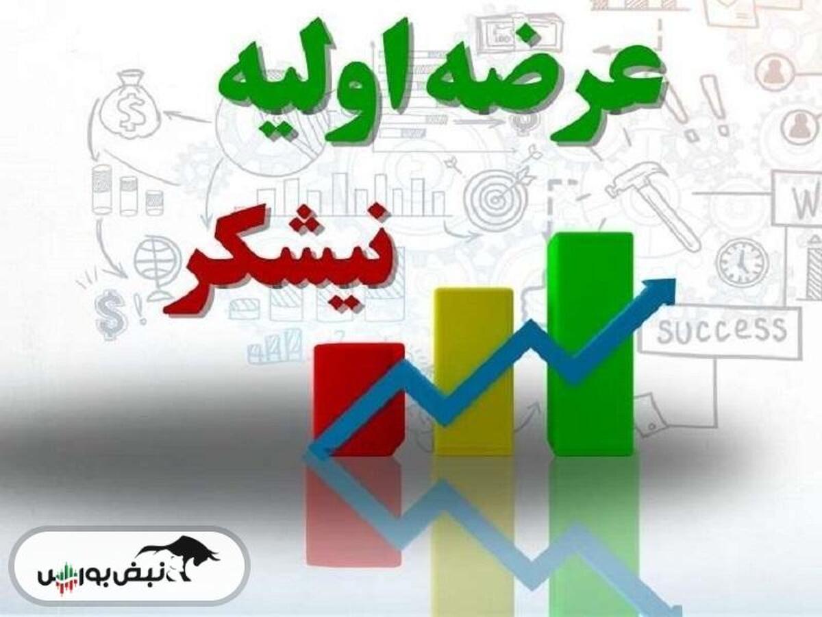 در عرضه اولیه نیشکر به هر کد چند سهم رسید؟