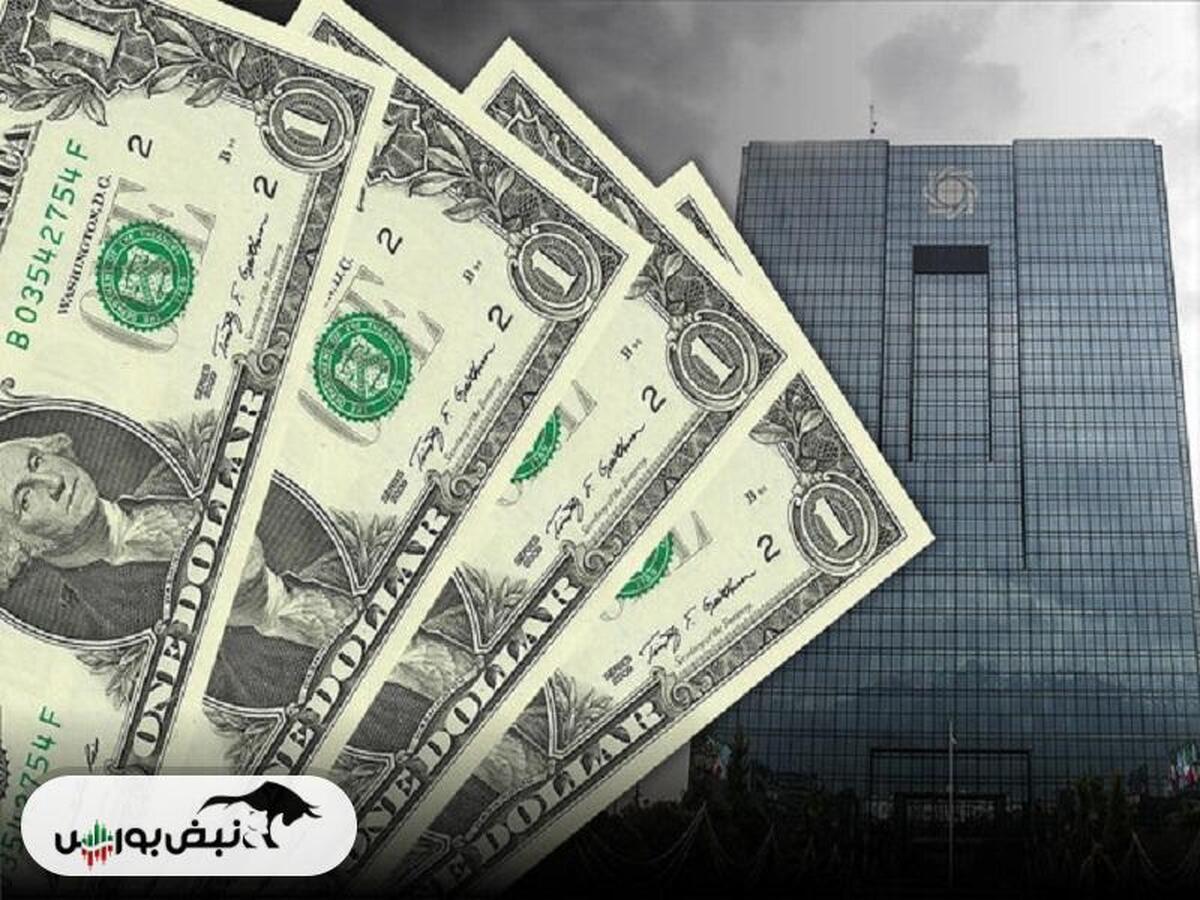 تلاش دولت و مجلس برای بهبود عملکرد سیاست‌های ارزی