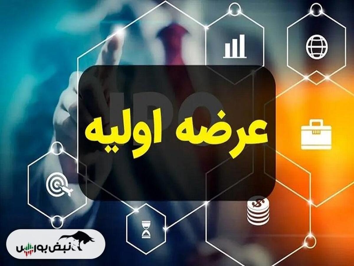 در عرضه اولیه آواک به هر کد چند سهم رسید؟