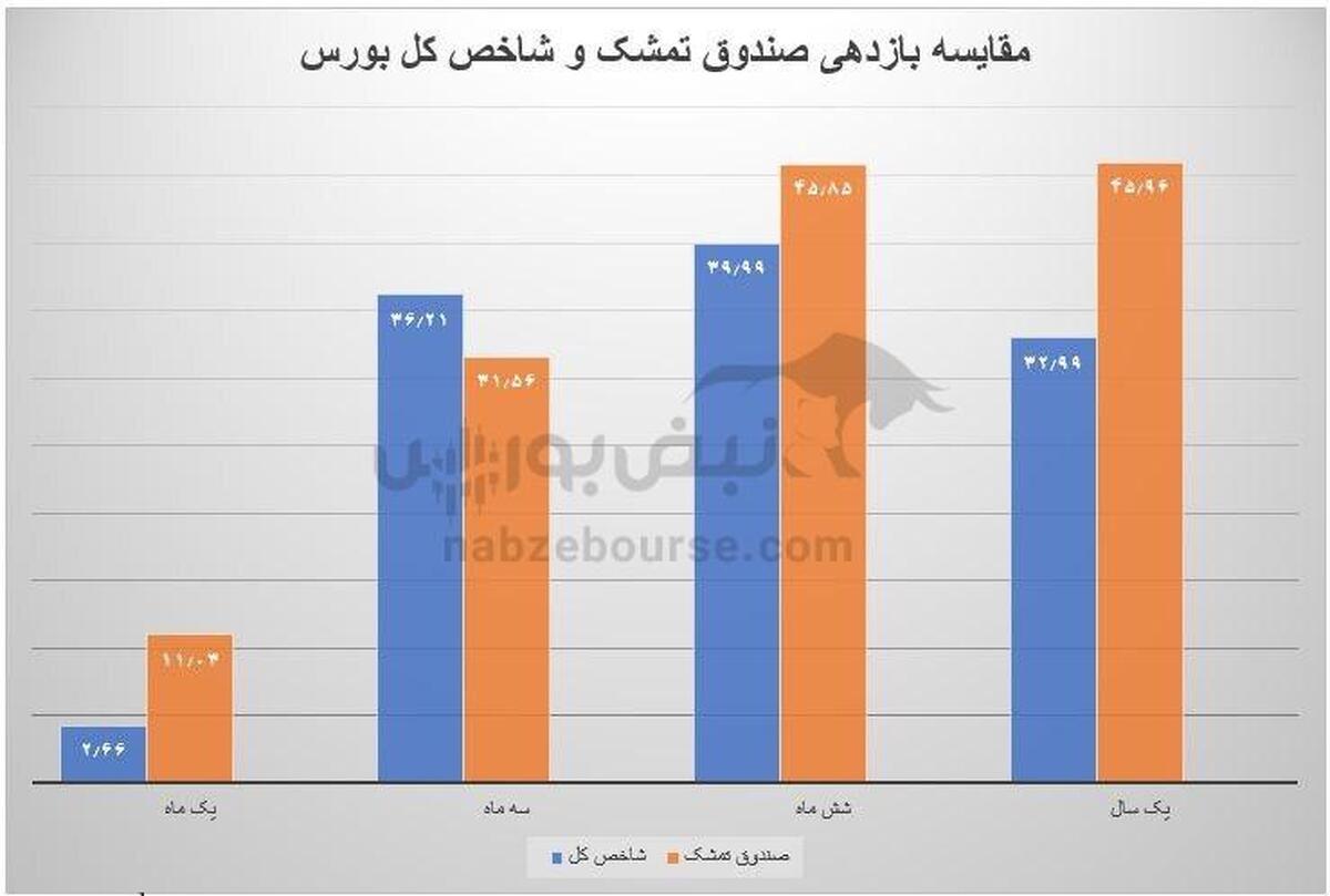 خریدهای فراصندوق تمشک در دی ماه ۱۴۰۳ چه بود؟