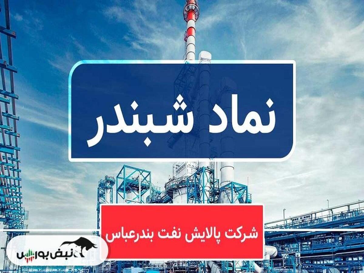 آقای هاشمی در شبندر چه خبر است؟ | کاهش سود ۵۹ درصدی در شبندر!