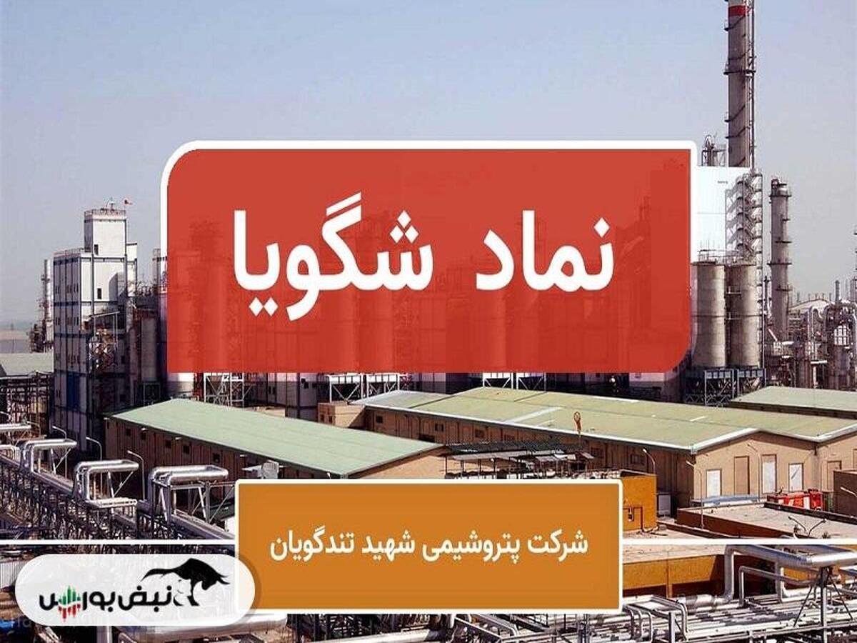 شاخص های سودآوری در شگویا سقوط کرد | در شگویا چه خبر است؟