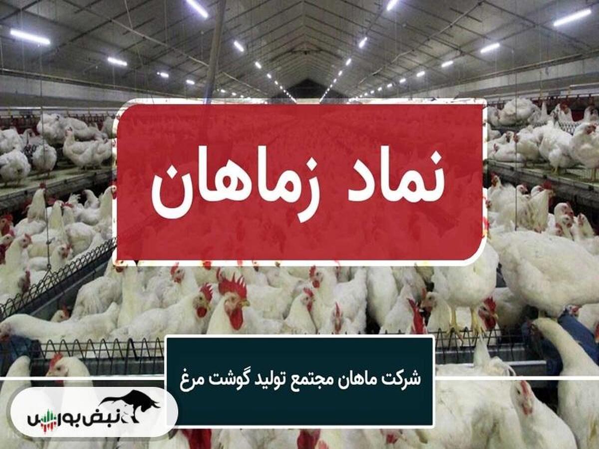 فاجعه ای به نام زِماهان چگونه رقم خورد؟ | سهامداران در باتلاق زِماهان، انگشت اتهام به سوی کیست؟