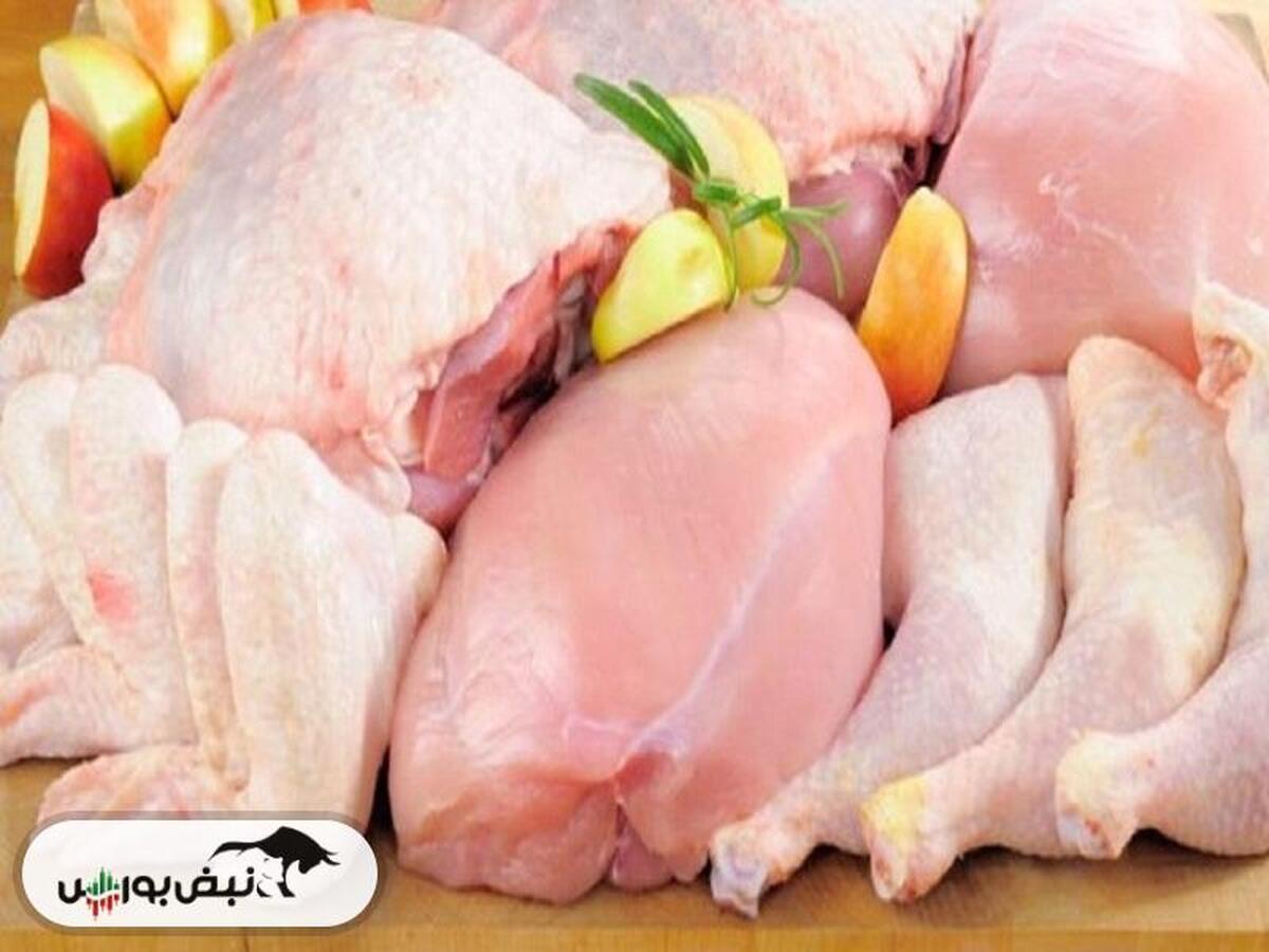 کدال زماهان | در عملکرد ۱ ساله سوددهی داشت؟
