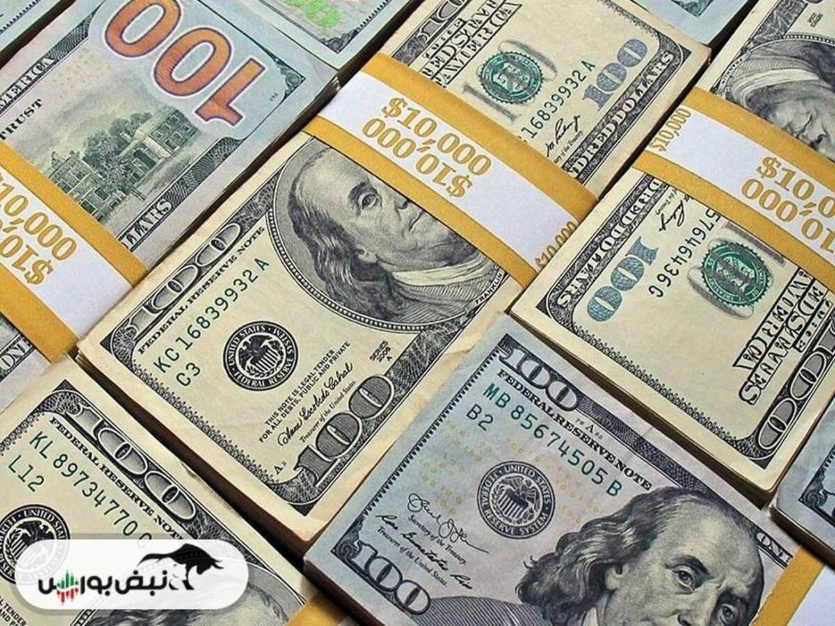 ضرورت حفظ ارز ۲۸ هزار و ۵۰۰ تومانی برای کالاهای اساسی