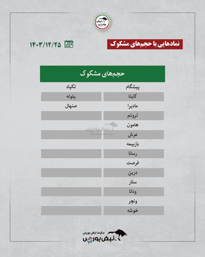 بهترین سهام بورسی شنبه ۲۵ اسفند ۱۴۰۳ | کدام نماد‌ها ورود پول داشتند؟