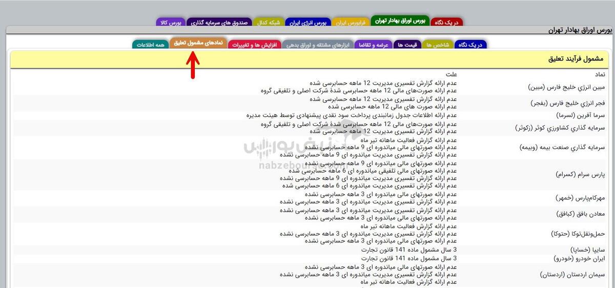 تعلیق نماد بورسی چیست؟