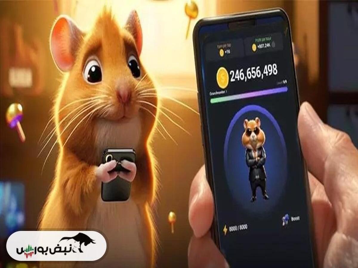 کارت‌های همستر امروز شنبه ۲۴ شهریور + آموزش وارد کردن