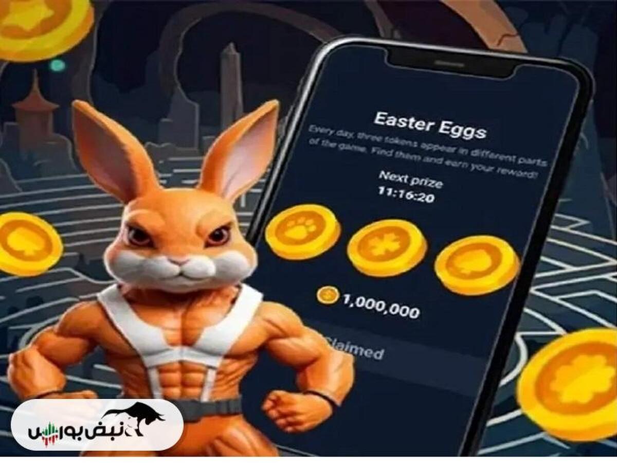 کد انیگما راکی رابیت ۲۹ شهریور + آموزش وارد کردن