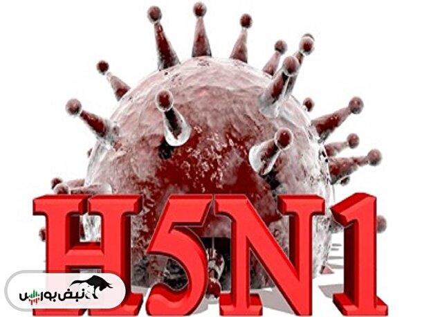 علائم ویروس جدید h5n1 چیست؟ | آیا این ویروس کشنده است؟