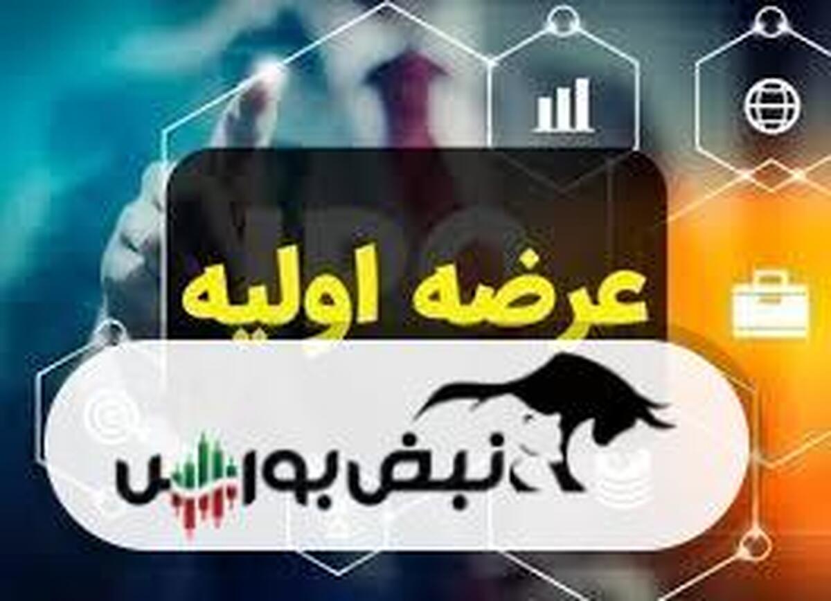 در عرضه اولیه کربن به هر کد چند سهم رسید؟