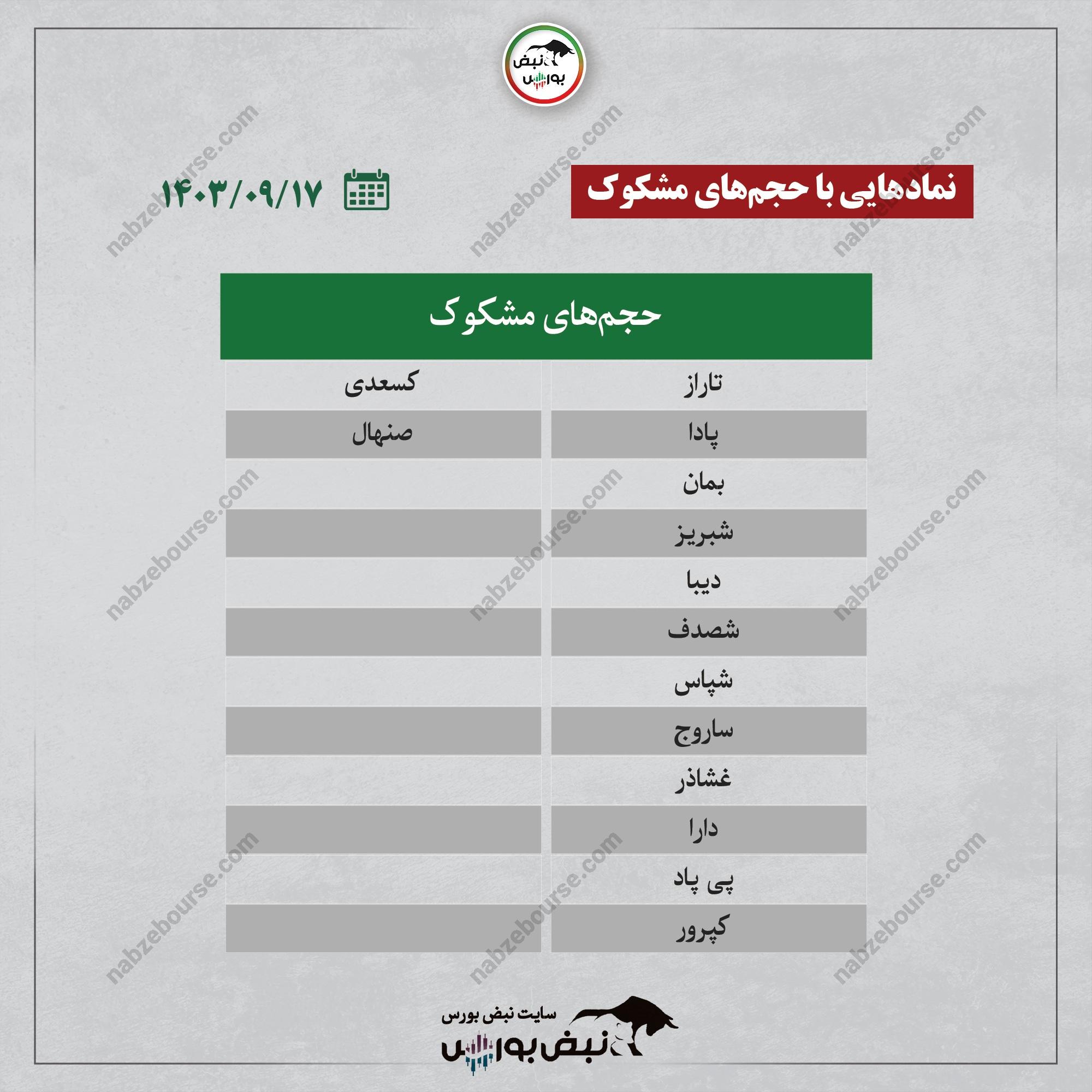 بهترین سهام بورسی شنبه ۱۷ آذر ۱۴۰۳ | کدام نماد‌ها ورود پول داشتند؟