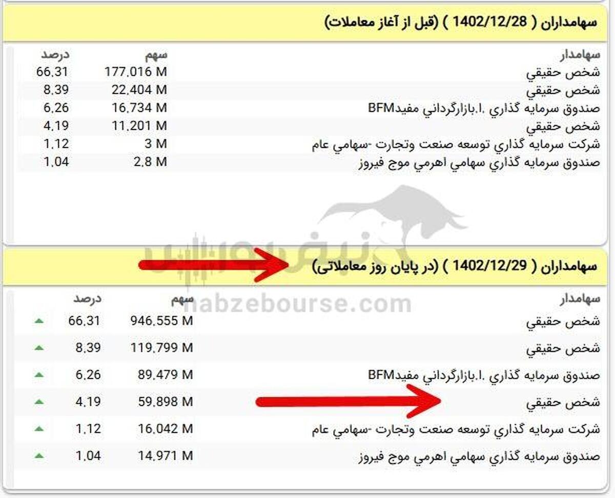 سهامداری که ۱۷.۵ میلیارد تومان در نیان فروخت کیست؟