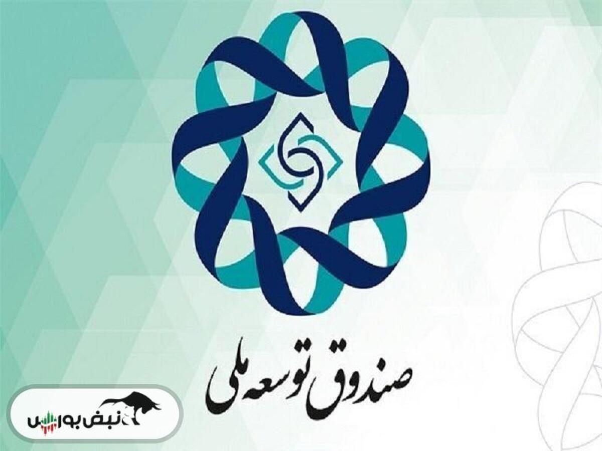 سهم صندوق توسعه ملی از درآمدهای نفتی ۴۸ درصد تعیین شد