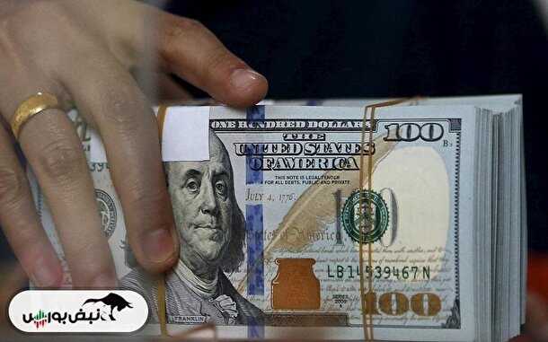 قیمت دلار امروز دوشنبه ۲۵ فروردین ۱۴۰۴ | کاهش نرخ دلار در بازار آزاد، صعود در مرکز مبادله