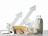 تورم لبنیات را چه کسی ساخته؟ پاسخ در زنجیره تولید است نه تقاضا