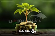 زمان واریز سود نماد‌هایی که هفته گذشته مجمع داشتند| واریز سود ۸۷۰۰ ریالی نماد پتروشیمی در بهمن ماه
