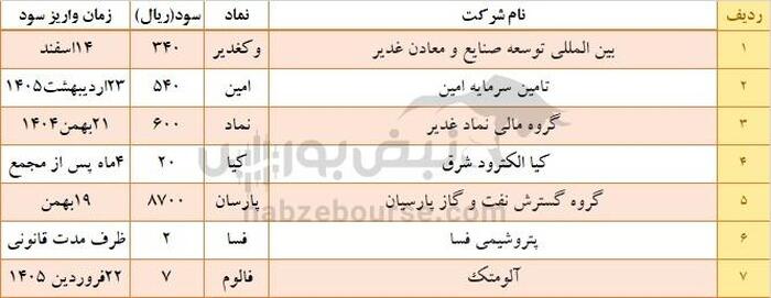 زمان واریز سود نماد‌هایی که هفته گذشته مجمع داشتند| واریز سود ۸۷۰۰ ریالی نماد پتروشیمی در بهمن ماه