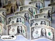سفره‌ی مردم در تیررس موج جدید گرانی | ترمز قیمت دلار کشیده می‌شود؟