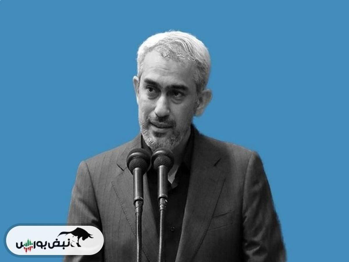 وزیر اقتصاد صندوق های ارزی را معرفی کرد