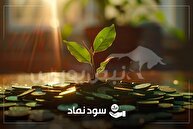 میزان سود و تاریخ پرداخت نمادهایی که هفته گذشته مجمع داشتند | چه نمادهایی بیشترین سود مجمع را تقسیم کردند؟