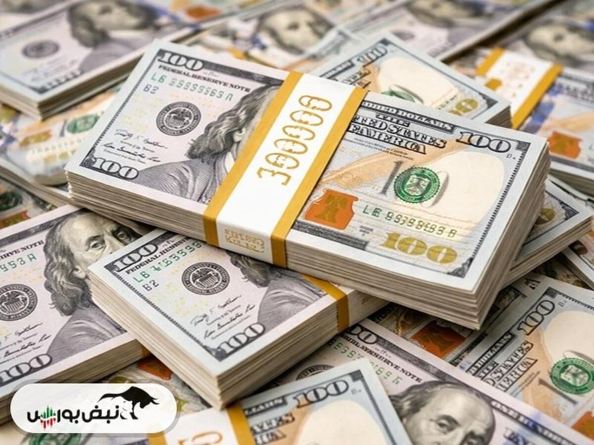 تهدید خاموش در بازار ارز تهران؛ پای جعل حرفه‌ای وسط است