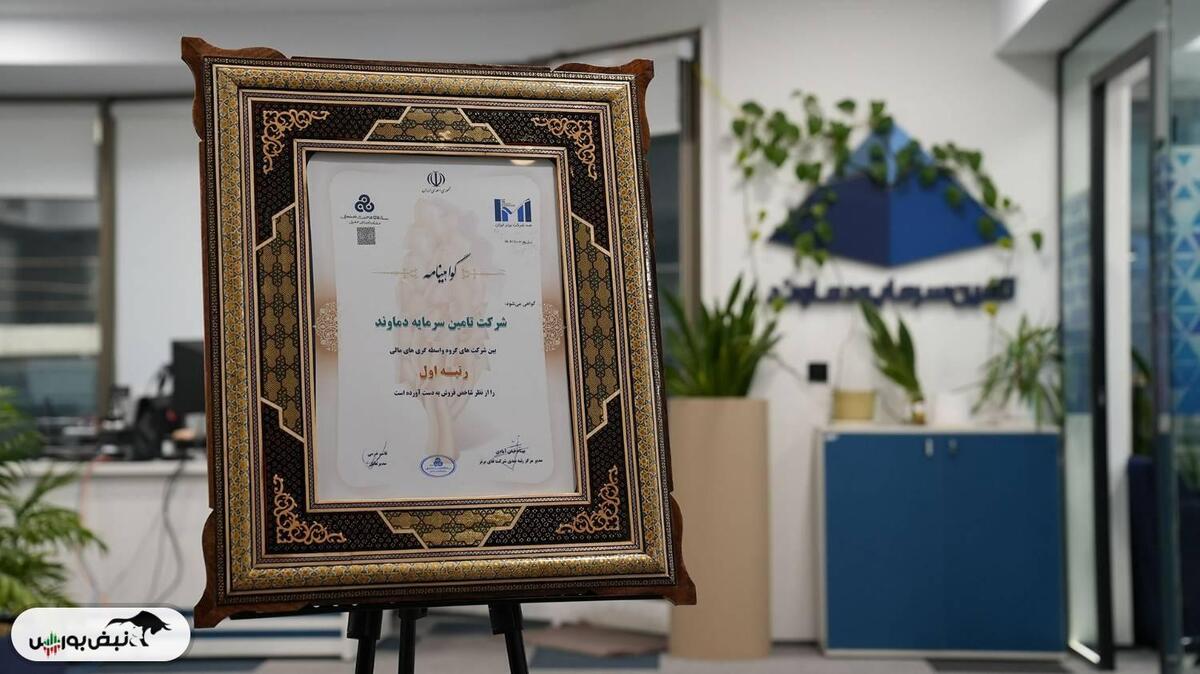 درخشش تامین سرمایه دماوند در جمع ۵۰۰ شرکت برتر ایران