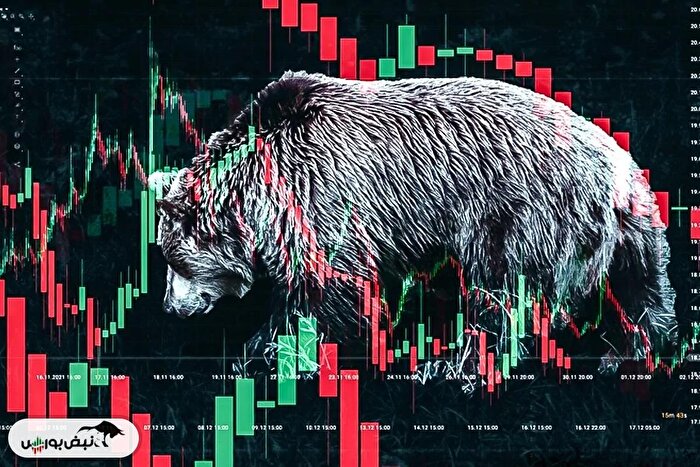 ریزش ۱۵ درصدی شاخص کل در بهمن ۱۴۰۴؛ کدام نمادها صعود کردند و کدام سقوط کردند؟