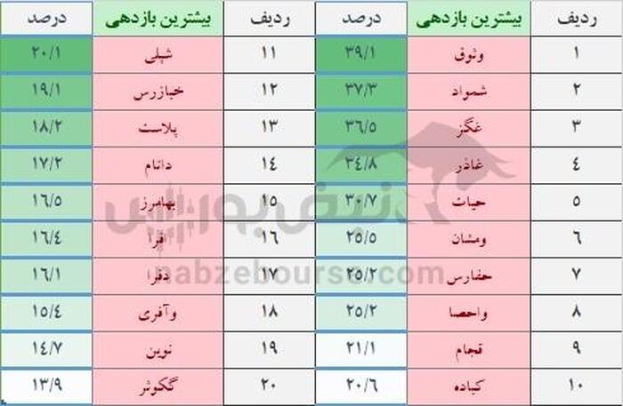 ریزش ۱۵ درصدی شاخص کل در بهمن ۱۴۰۴؛ کدام نمادها صعود کردند و کدام سقوط کردند؟