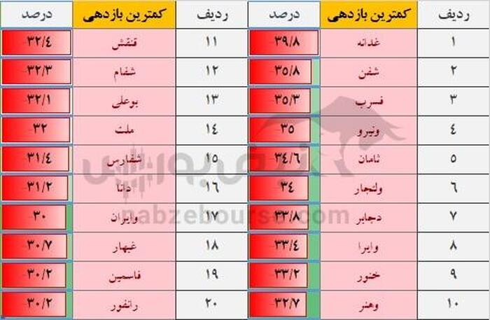 ریزش ۱۵ درصدی شاخص کل در بهمن ۱۴۰۴؛ کدام نمادها صعود کردند و کدام سقوط کردند؟