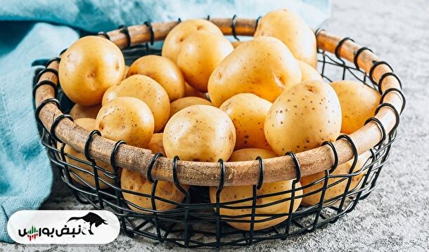 صادرات به پاکستان، واردات از پاکستان | وزیر جهاد کشاورزی برای گرانی سیب زمینی پاسخگوست؟