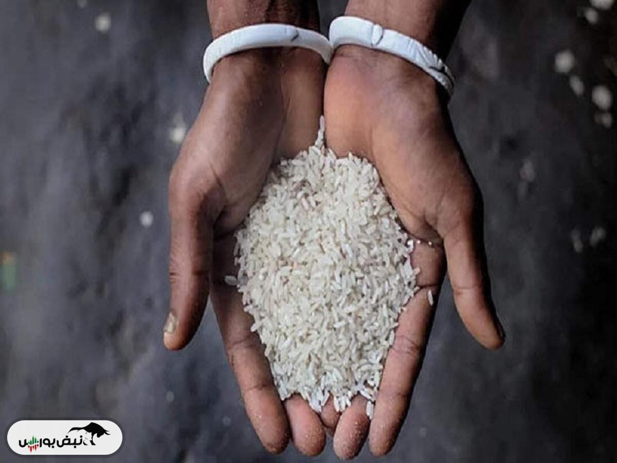 قیمت برنج پاکستانی امروز ۲۹ اردیبهشت ۱۴۰۴