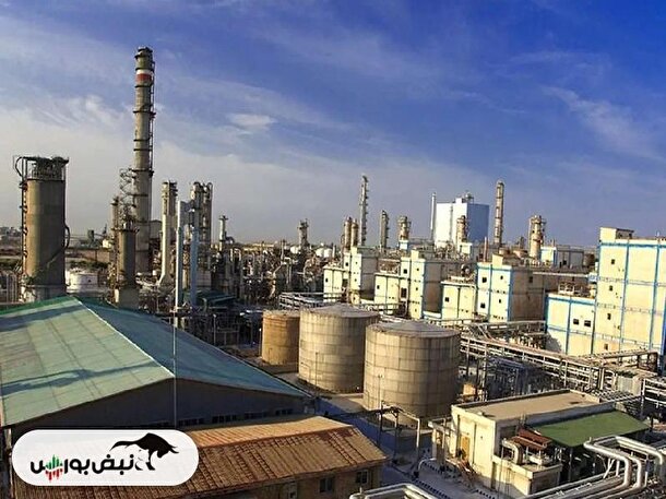 مُهر مردودی بر کارنامه سیدرضا قاسمی شهری در شگویا | سقوط ۶۰ درصدی سود عملیاتی شگویا!