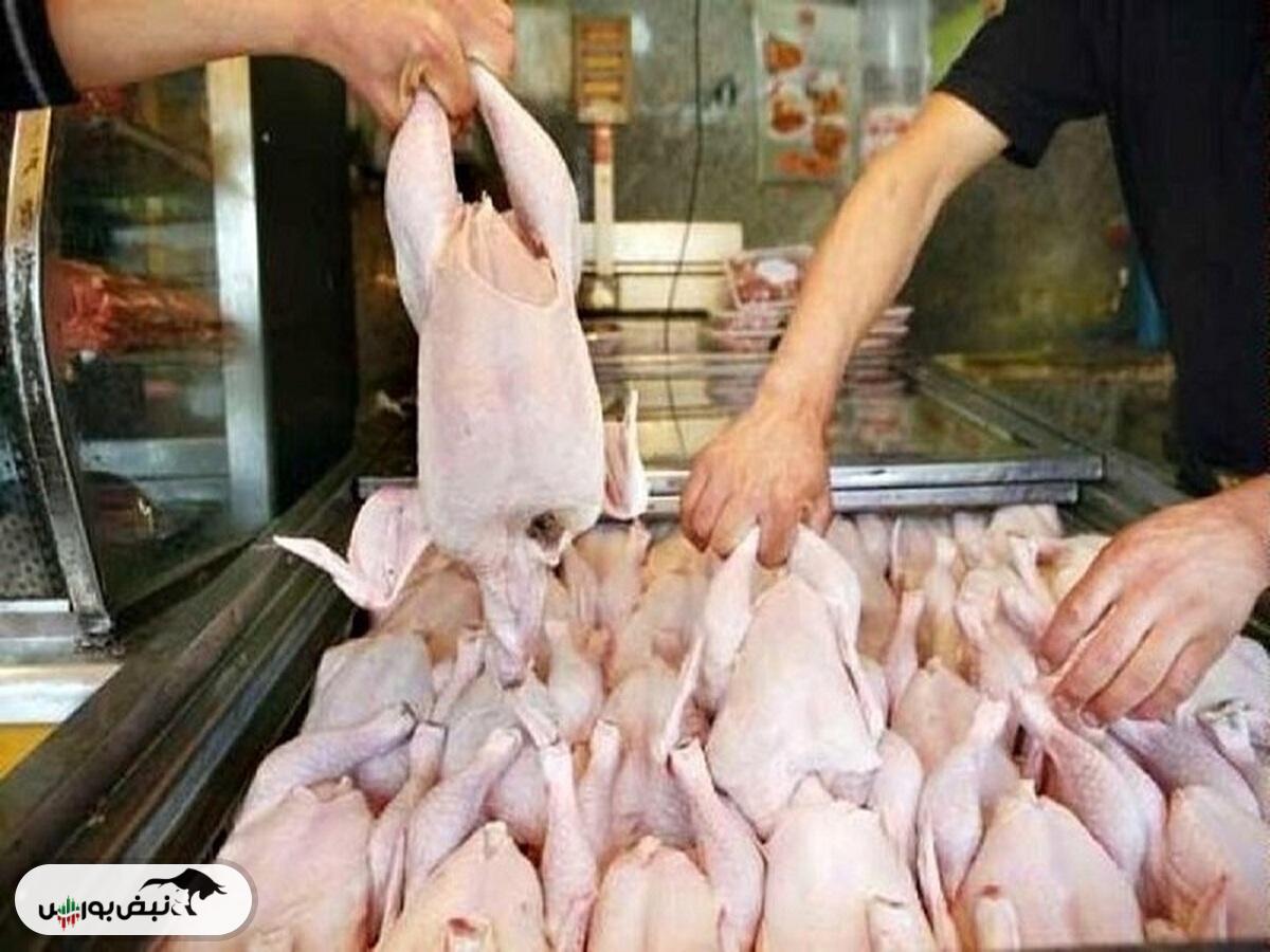 قیمت گوشت مرغ امروز ۱ خرداد ۱۴۰۴