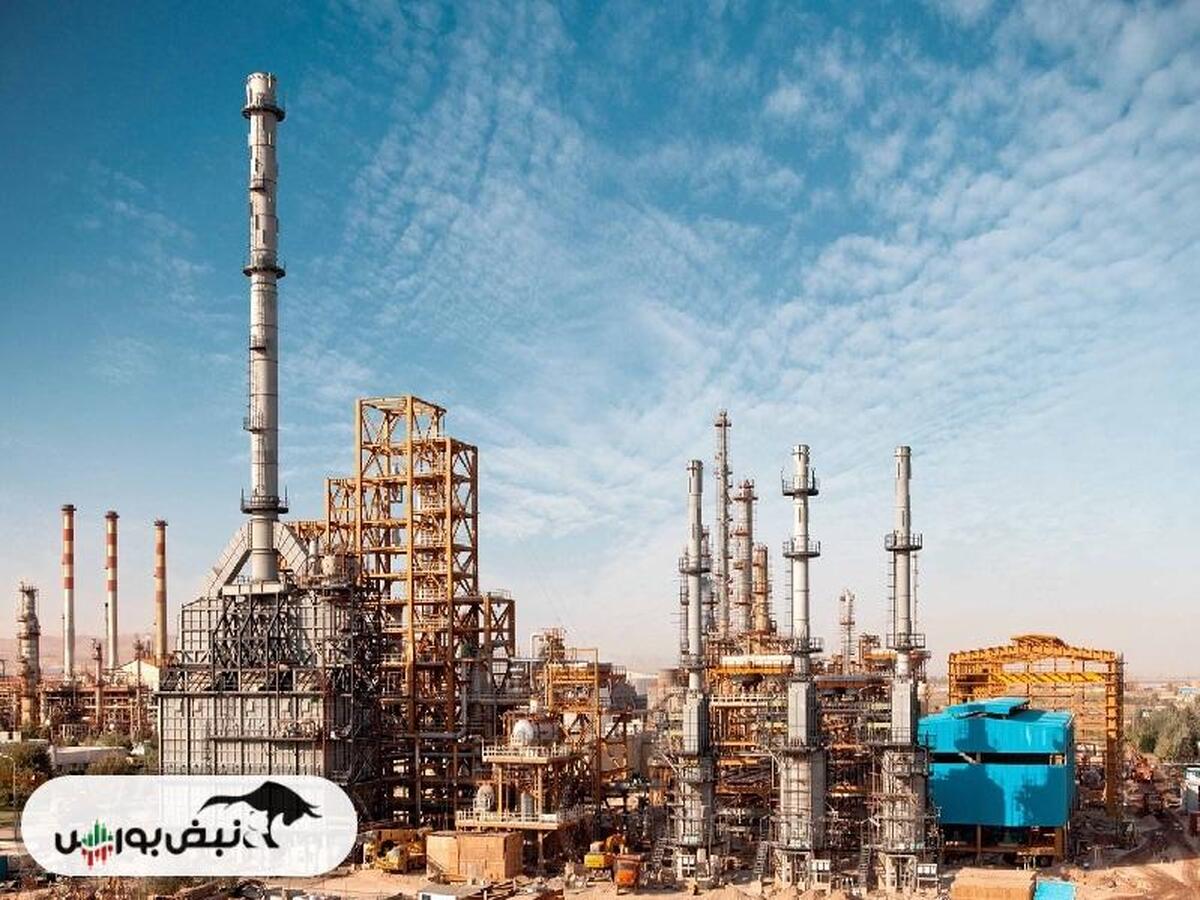کاهش تخفیف نرخ خوراک زمستان ۱۴۰۲ برای شبریز و شراز | تخفیف سال ۱۴۰۳ چه خواهد شد؟