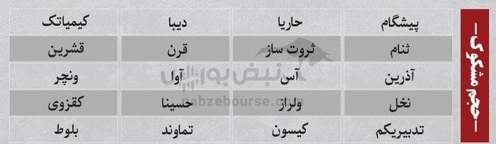 بهترین سهام بورسی شنبه ۱۰ خرداد ۱۴۰۴| کدام نماد‌ها خروج پول داشتند؟