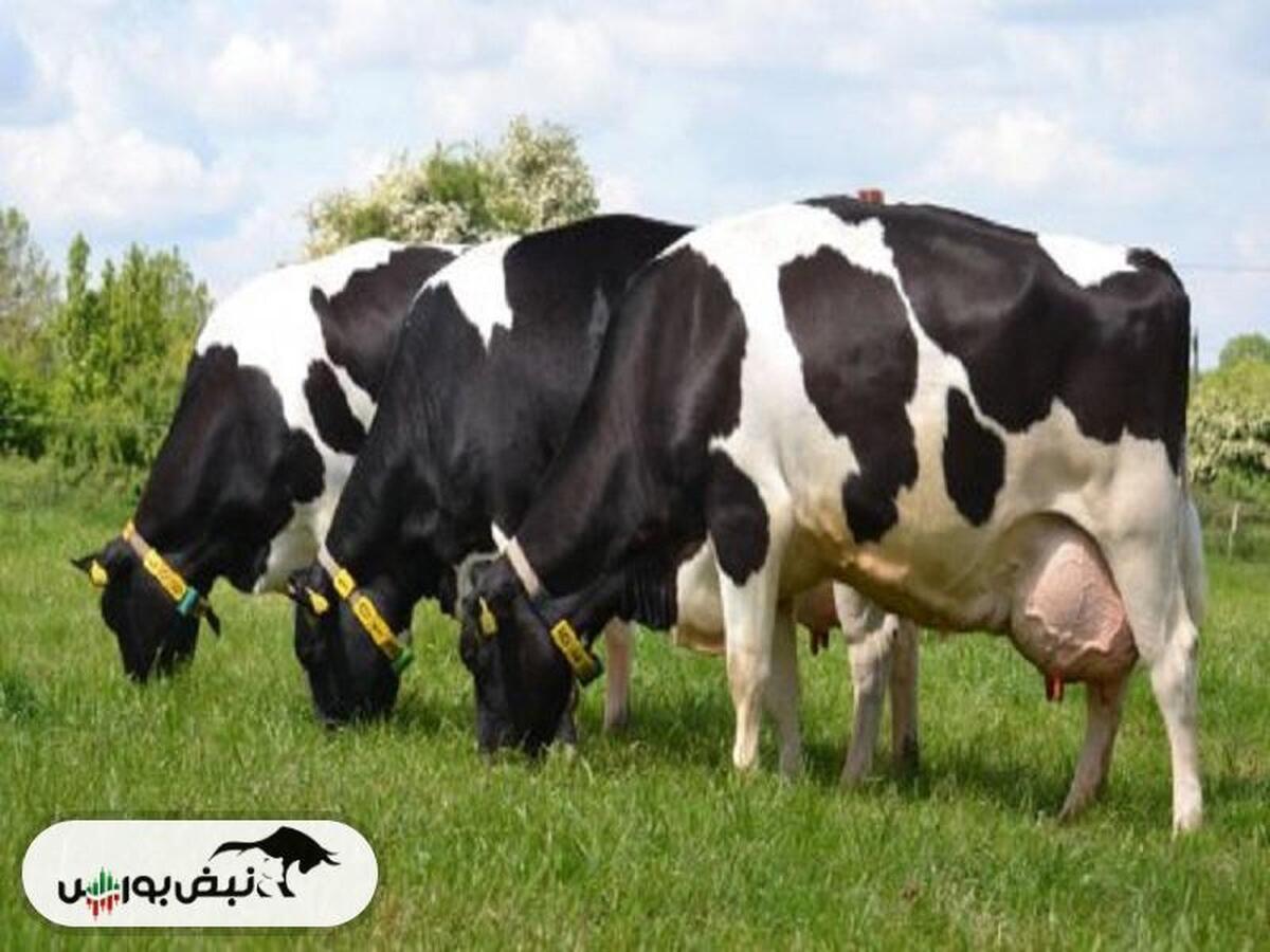 زمگسا در فروردین ماه چقدر رشد درآمد داشت؟