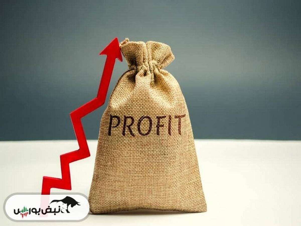 هفته آینده با کدام نماد‌ها به مجمع برویم؟ | کدام نماد سود بهتری تقسیم خواهد کرد؟ (قسمت دوم)