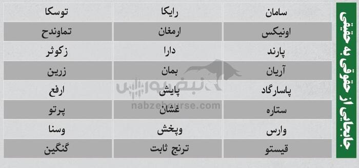 بهترین سهام بورسی سه شنبه ۱۳ خرداد ۱۴۰۴| کدام نماد‌ها خروج پول داشتند؟