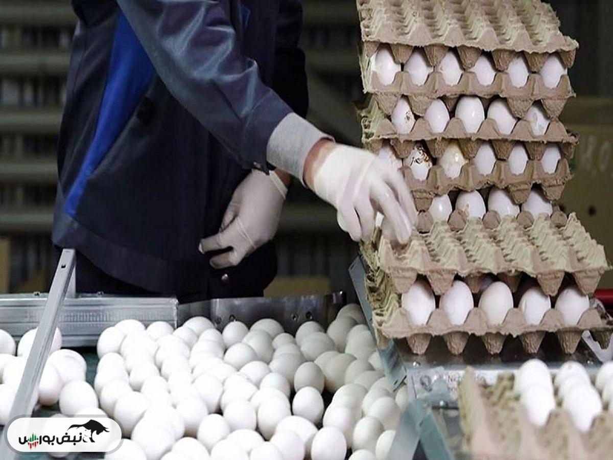 قیمت تخم مرغ دو برابر شد